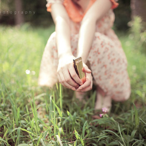 波霸少女高清在线观看
