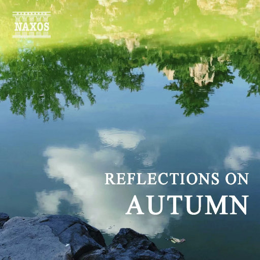 波霸少女高清在线观看
